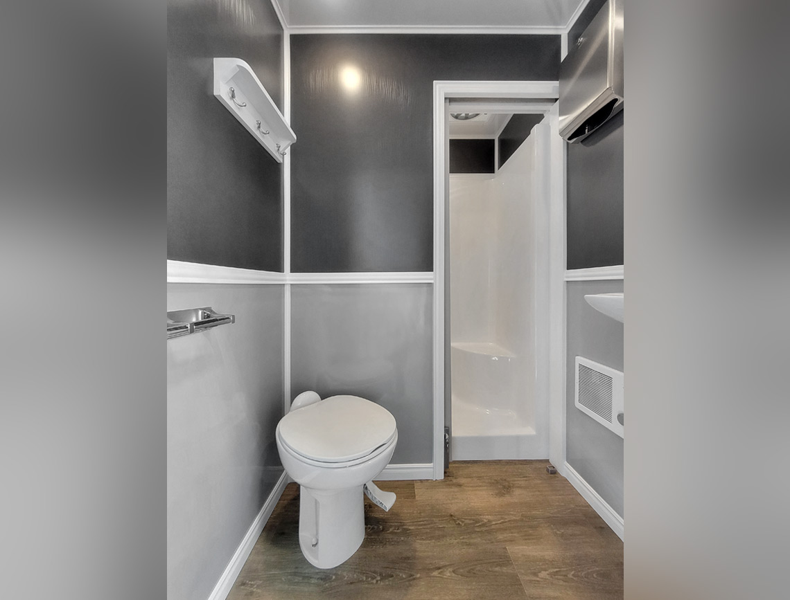 Porcelain toilet with dark walls and wood floor